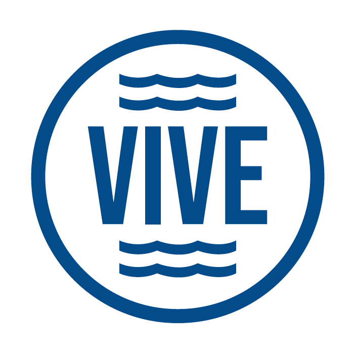 Vimpelin Veto
